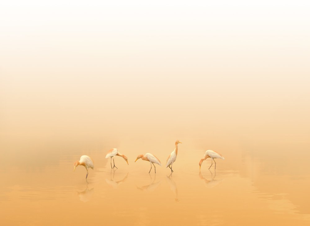 Photograph by Jalaj Yadav