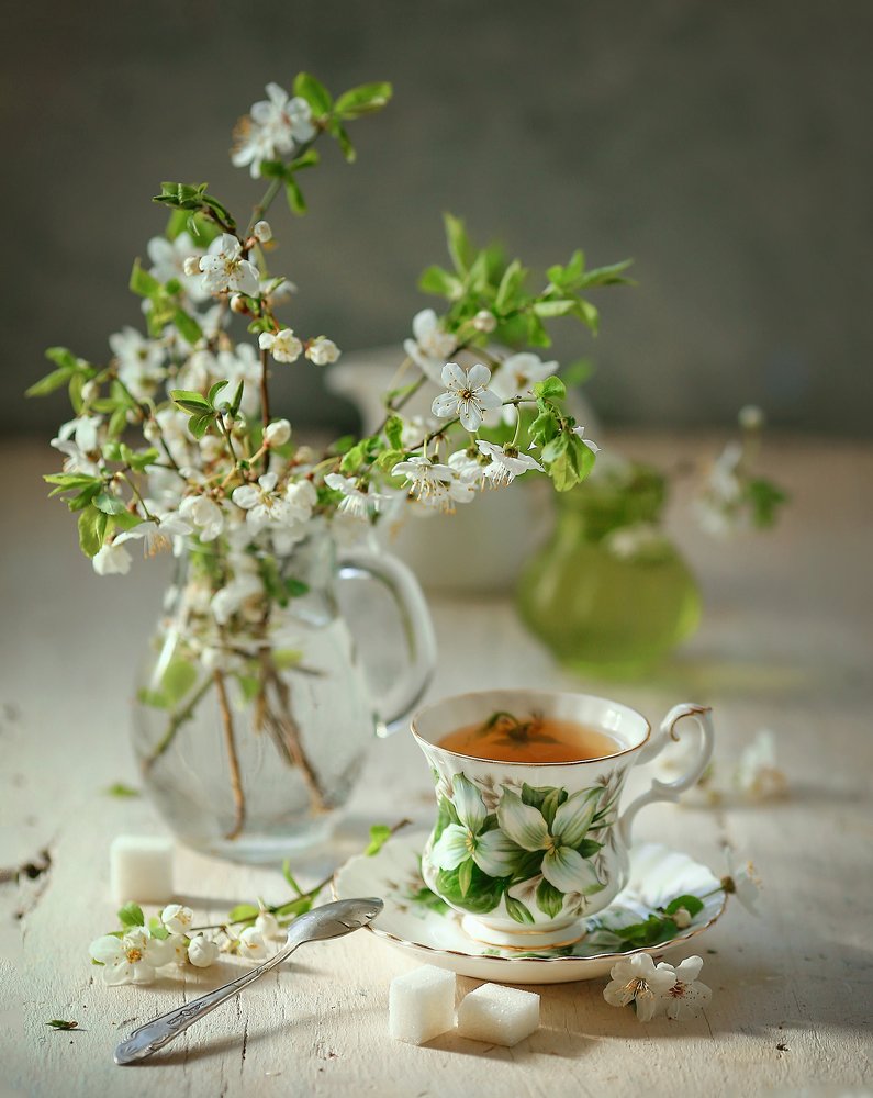 Фотография автора Евгения Грин