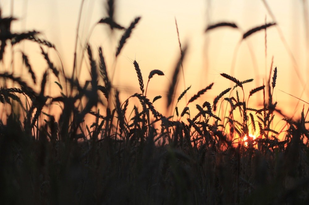 Спрятанное закатом