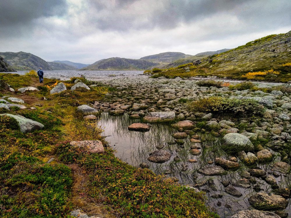 Photograph by Елена Боржковская