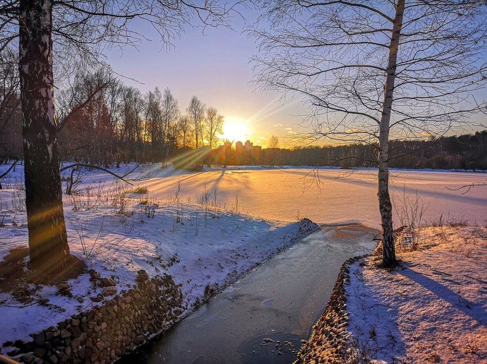 Две березки на закате...