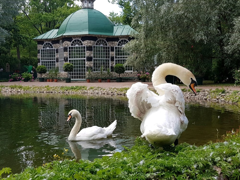 Photograph by Екатерина Вивюрская