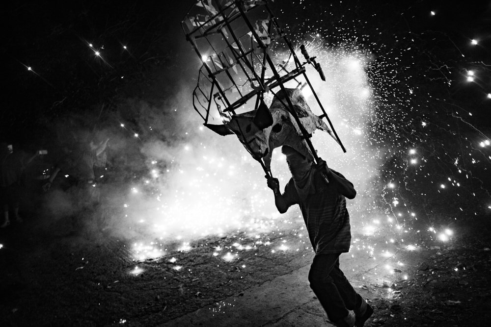 The “little bulls” (toritos)