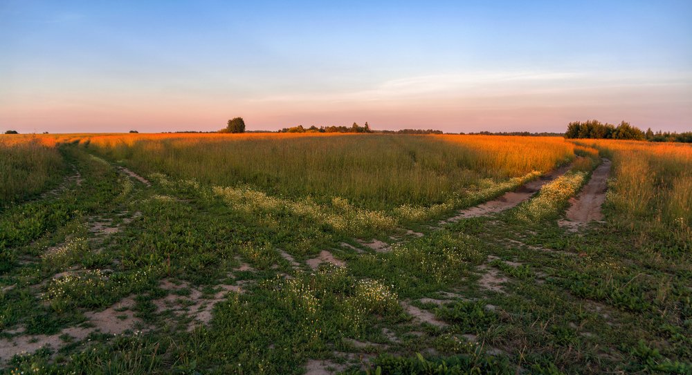 Фотография автора Ольга Бородина