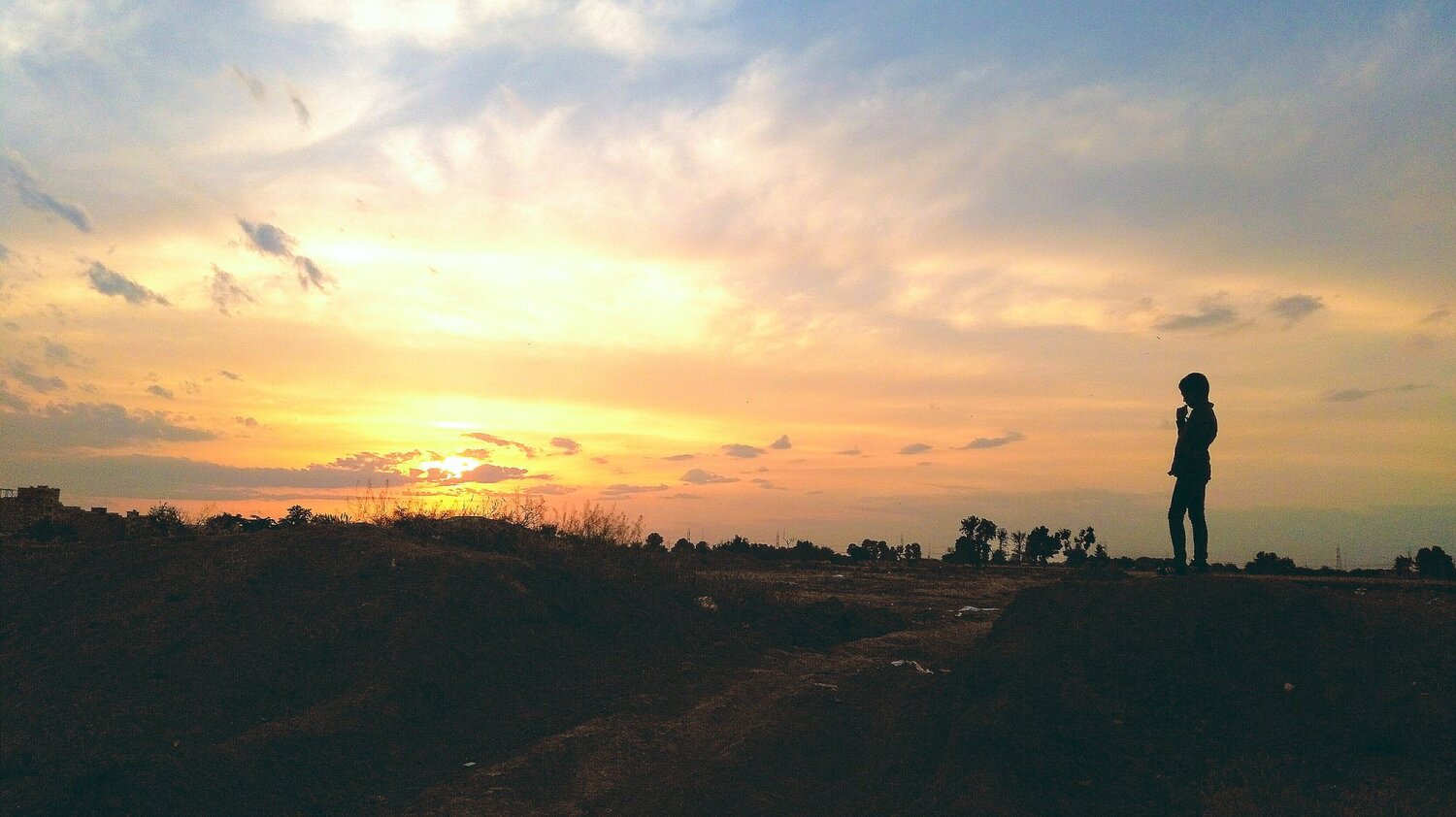 Photo #4369898