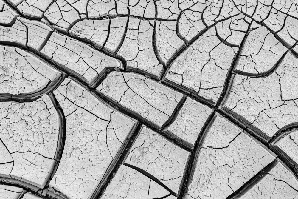 Photograph by Razvan Iliescu