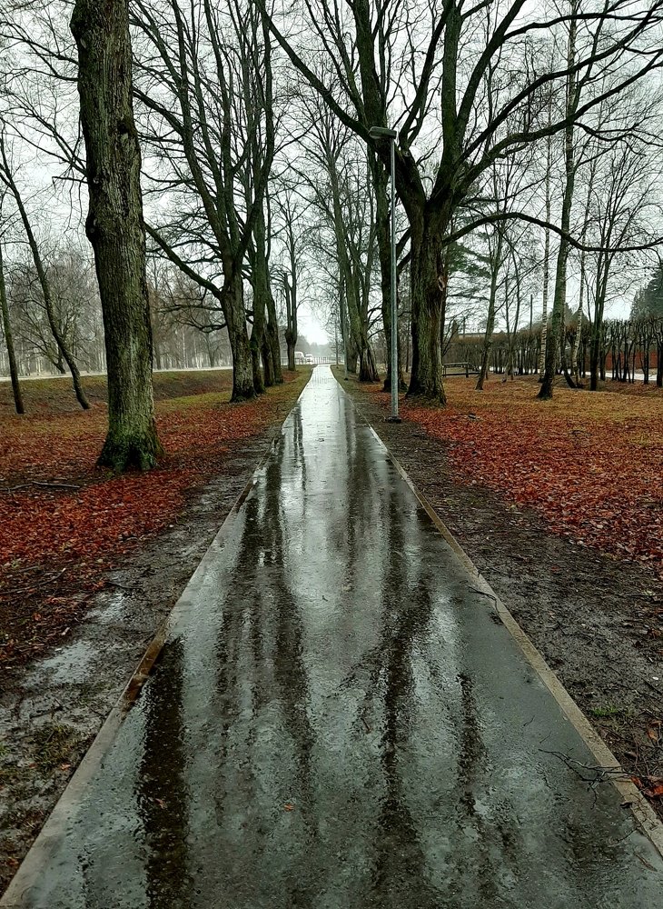 Photograph by Ilze Ose