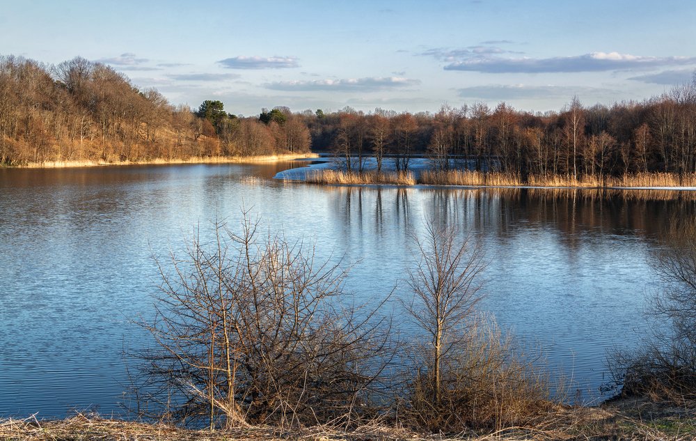 Фотография автора Ольга Бородина