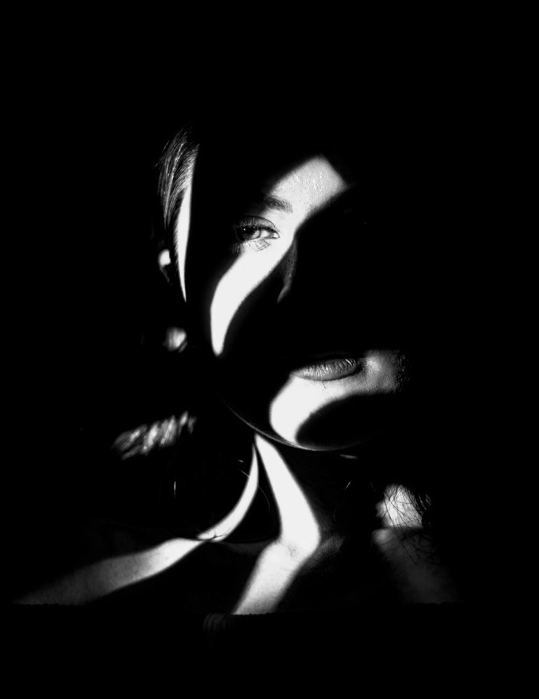 Фотография автора Milad Mohammadi