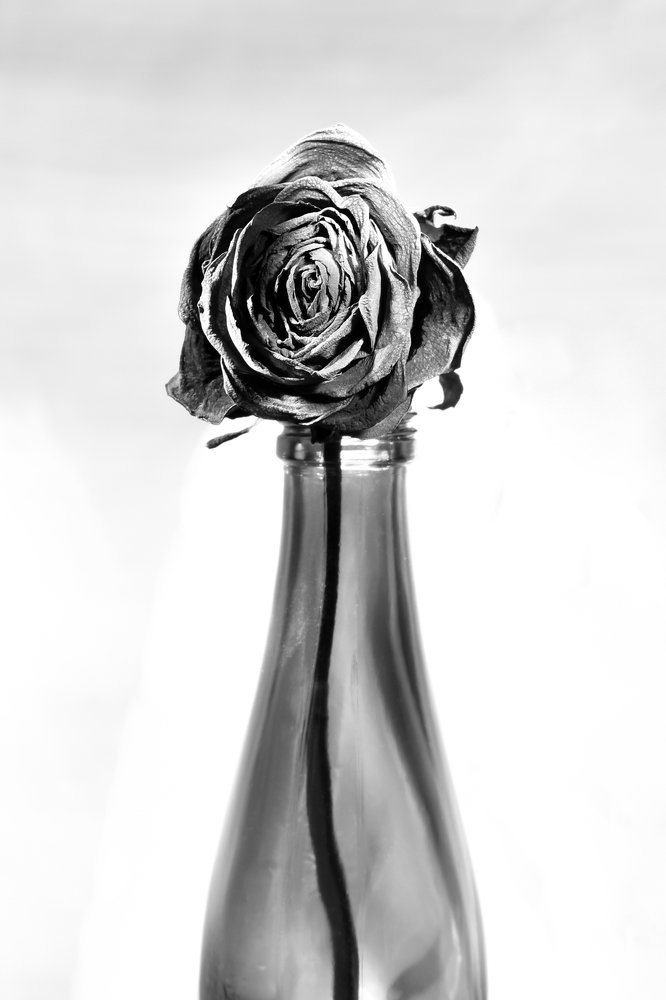 Photograph by Наталия Бочкова