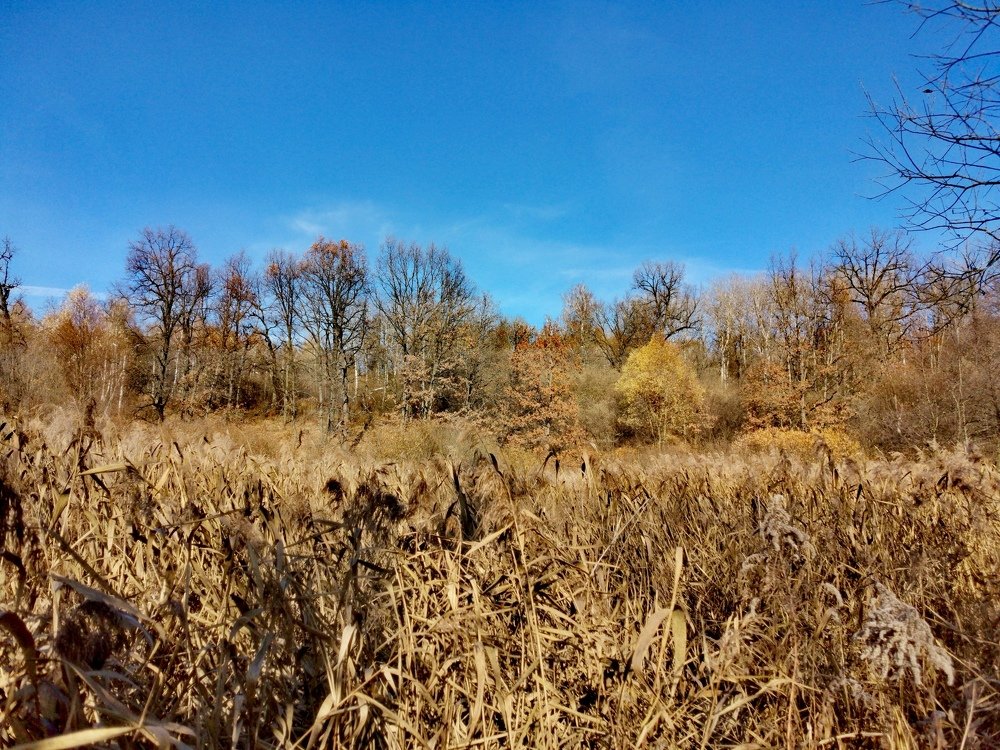 Photograph by Александр Костин