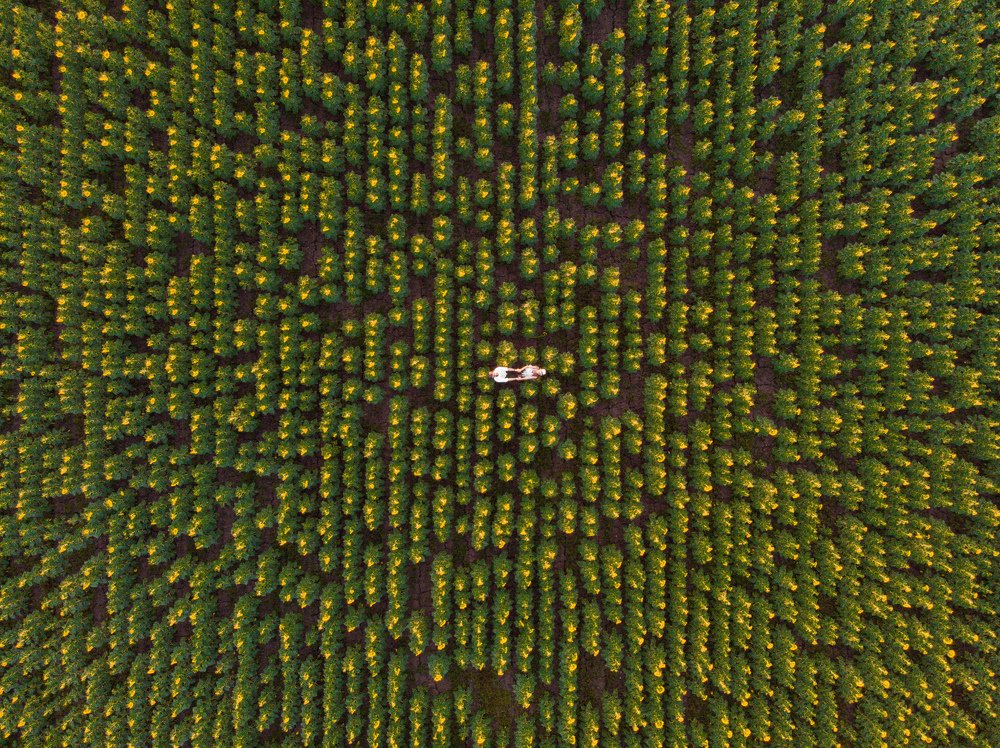 Photograph by Efraim DONMEZ