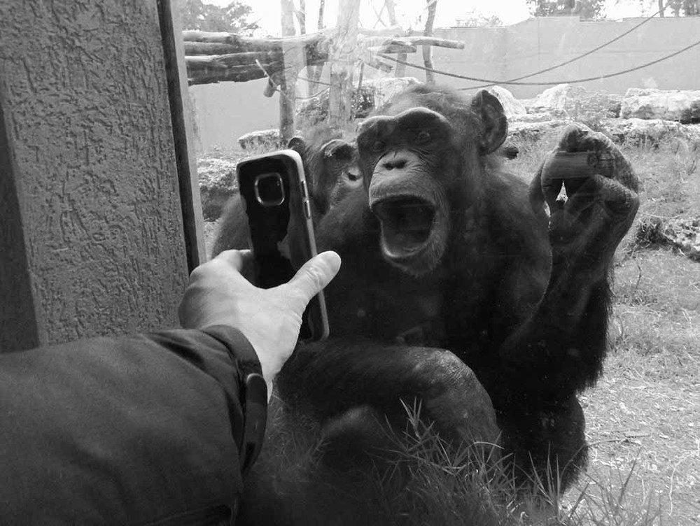 без названия