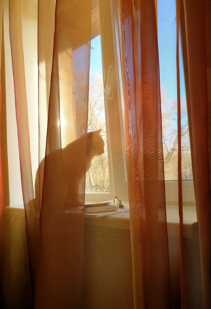 Photograph by Mariya Kuznetsova