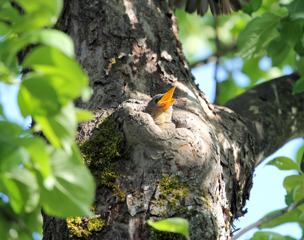 Photograph by Елена Врублевская