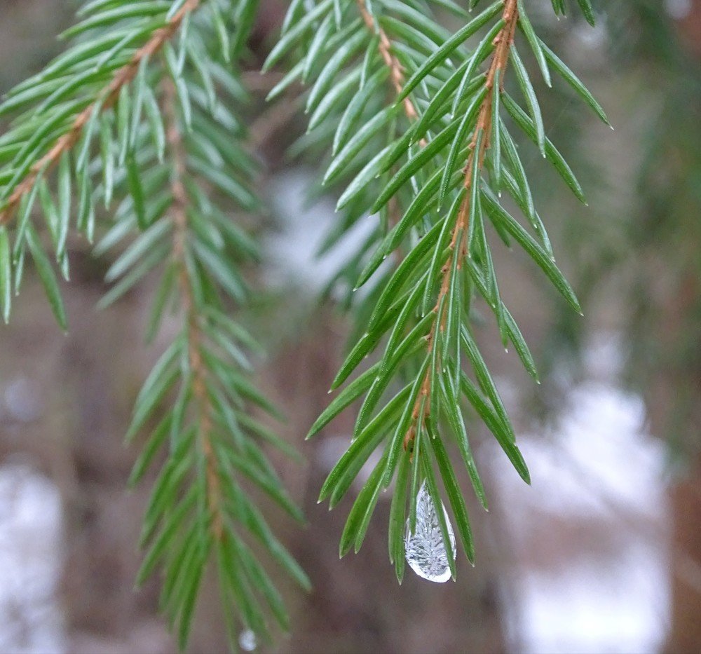 Photograph by Ирина
