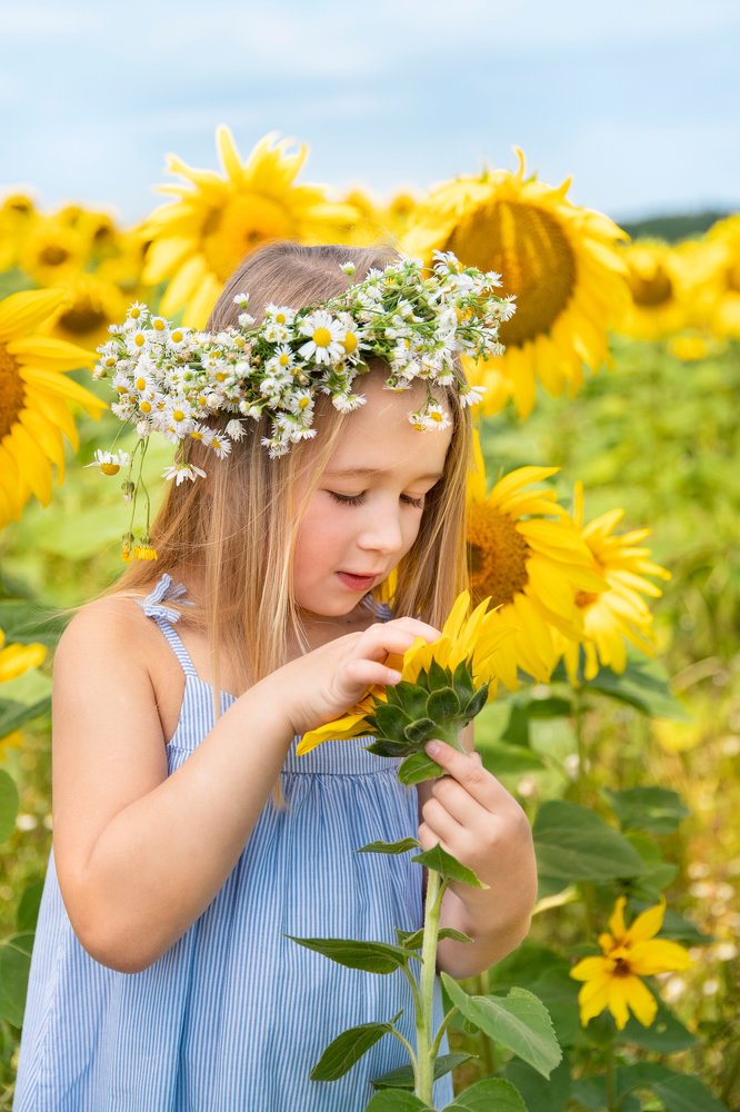 Photograph by Юлия Зиперт