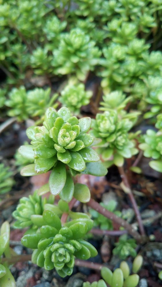 Photograph by Paola Hernández