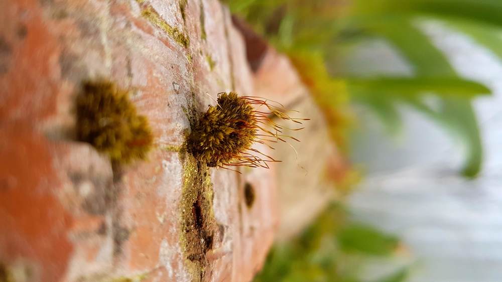 Photograph by Мария Глотова