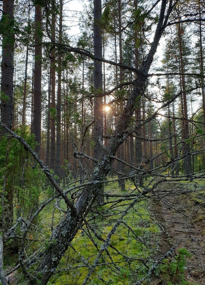 Photograph by Mariya Kuznetsova