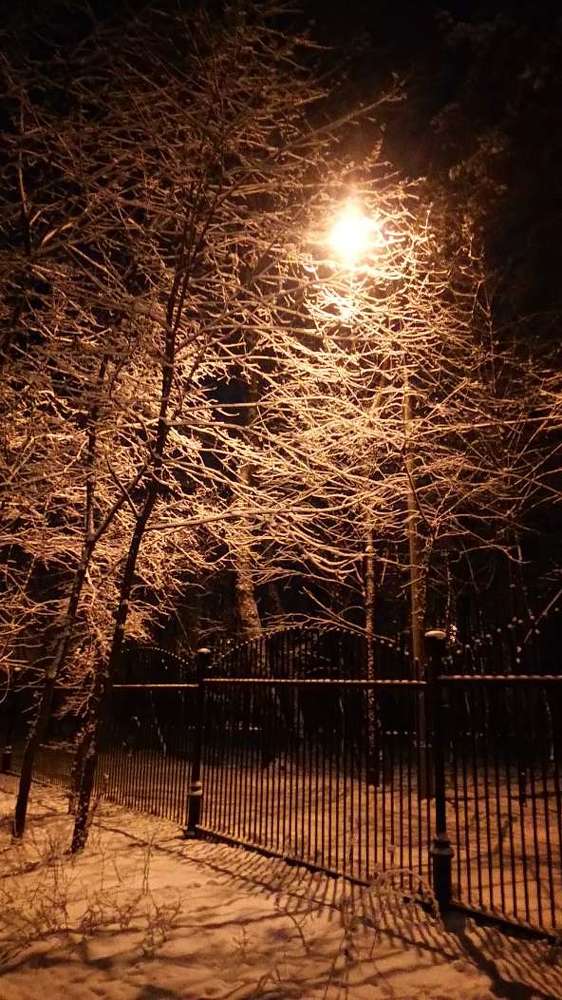 Снежное кружево
