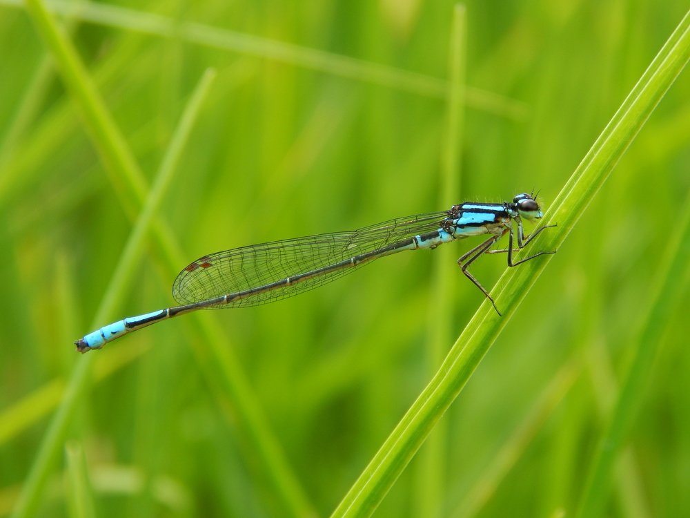Photograph by Sergio Bonilla