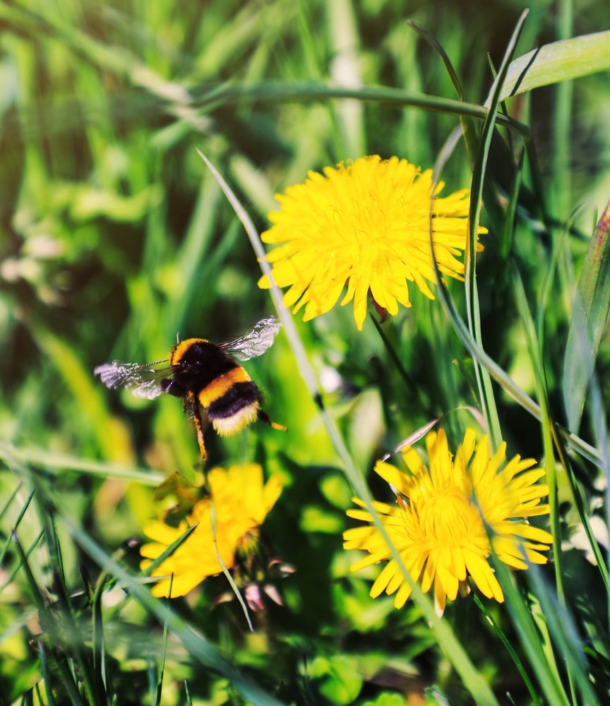 Фотография автора Evgeny Gorbunov