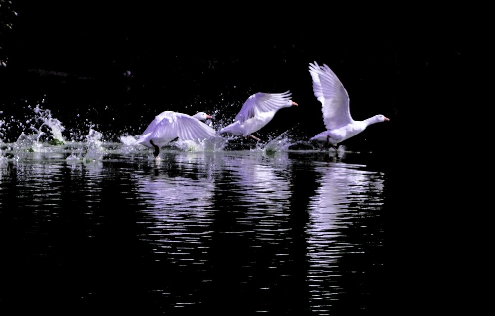 Photograph by Дмитрий Перских