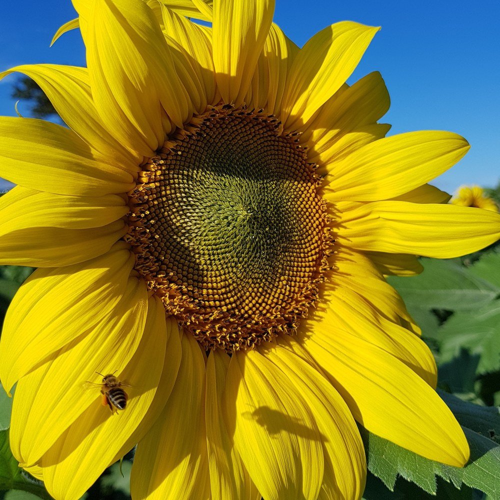 Photograph by Claudia Gonzalez