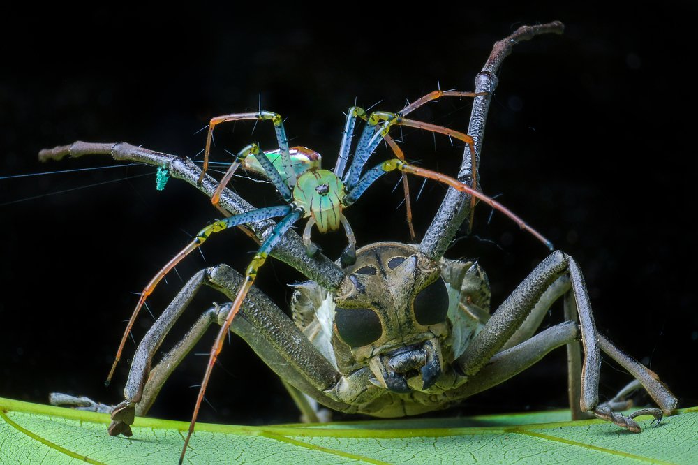 Photograph by Setiadi Ajar