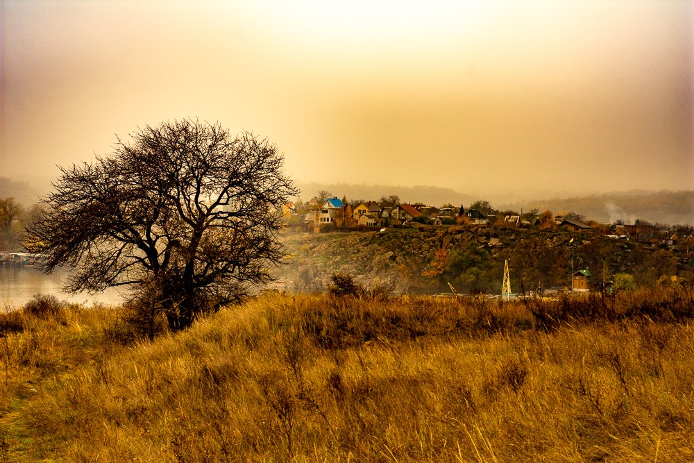 Photograph by Людмила Швец