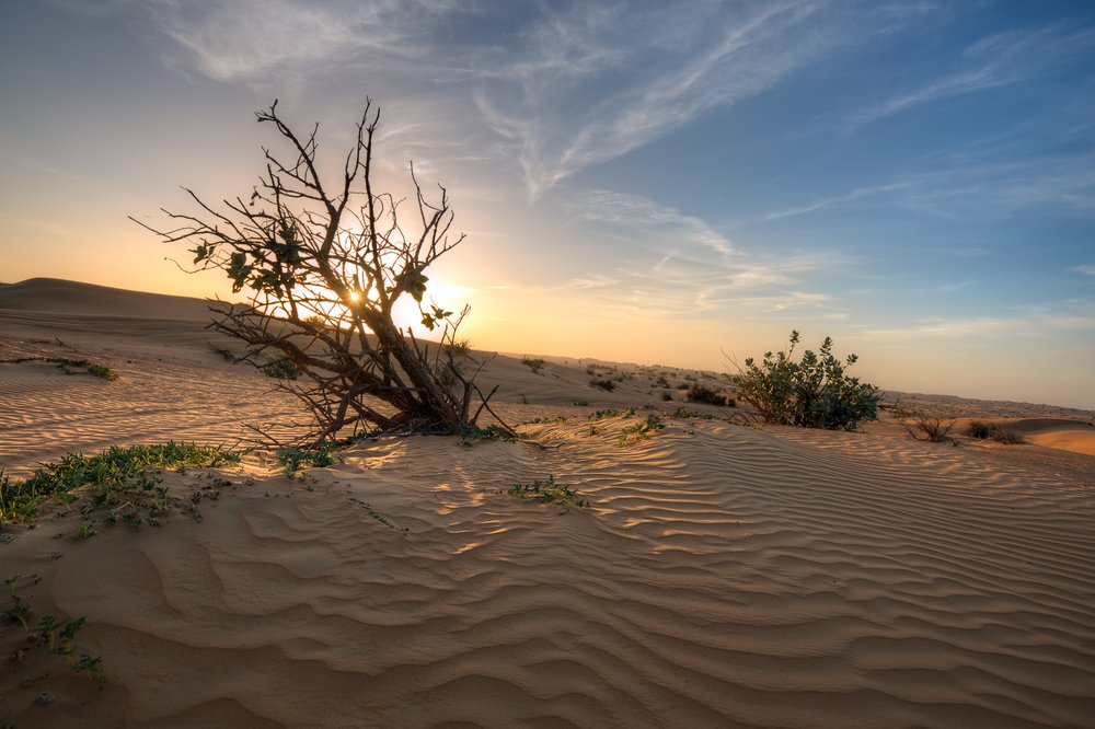 Photograph by Алексей Кобель