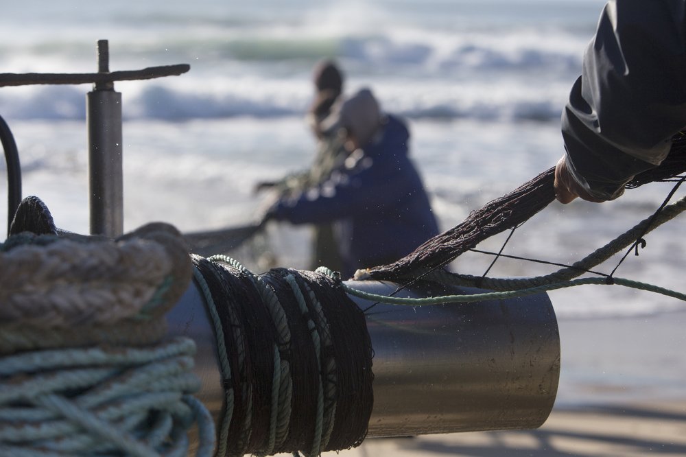 Photograph by Carlos Alberto Sequeira