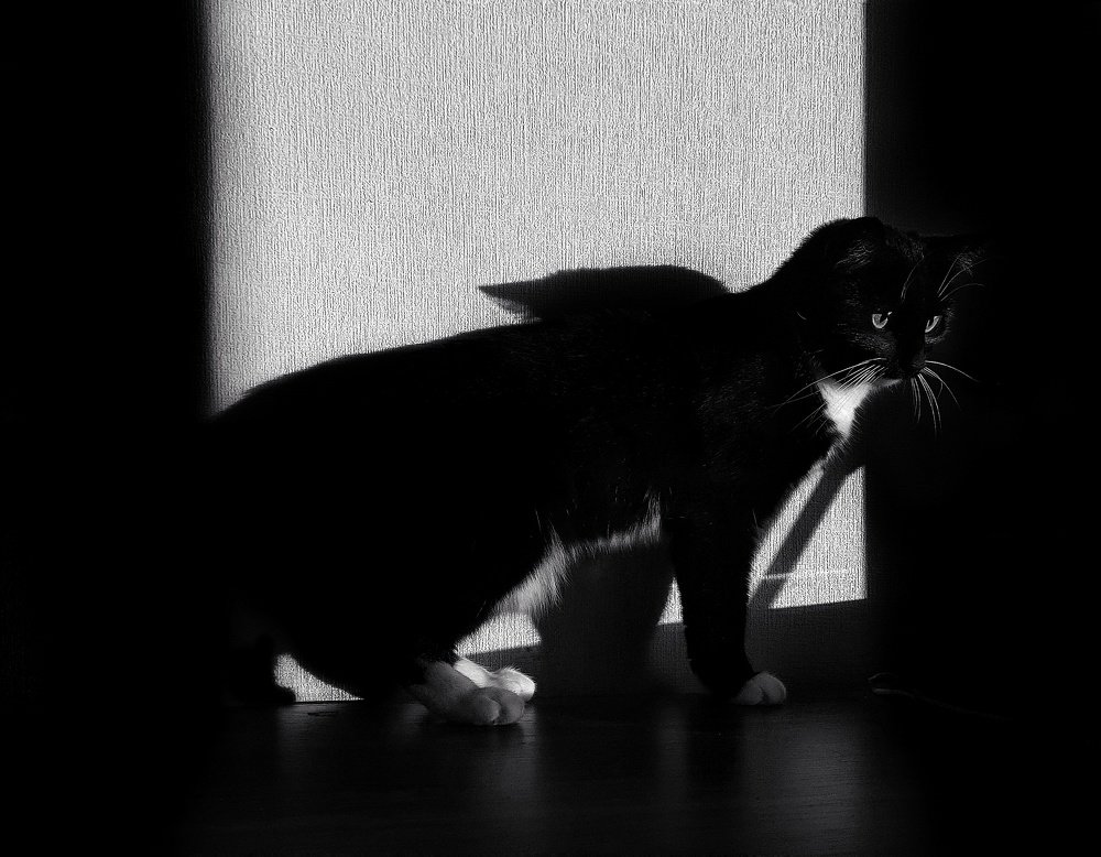 Photograph by Наталья Ерёменко