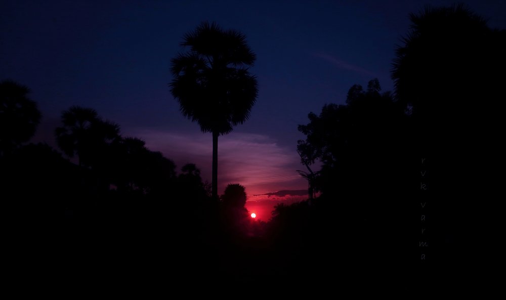 Photograph by VIJAYAKUMAR VARMA