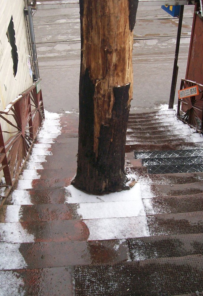 Photograph by Хвостов владимир Владимирович