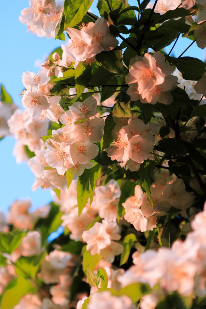 Фотография автора Evgeny Gorbunov