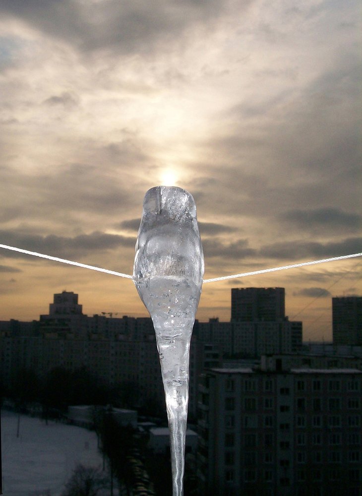 Photograph by Хвостов владимир Владимирович