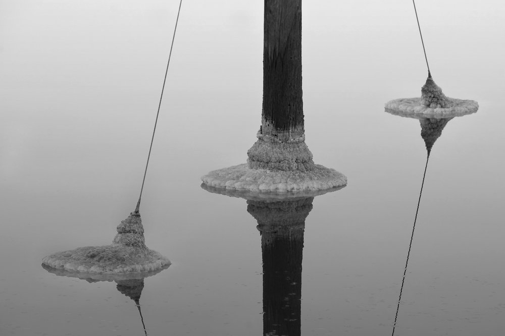 Photograph by Сергей Ростроса