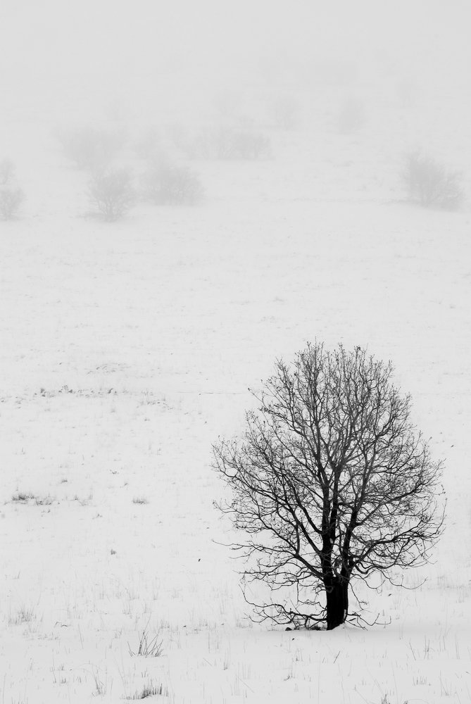 Photograph by Сергей Ростроса