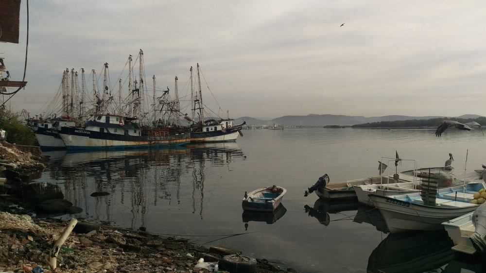 Photograph by Manuel Alencaster