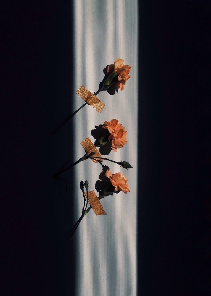 Photograph by Tika jabanashvili