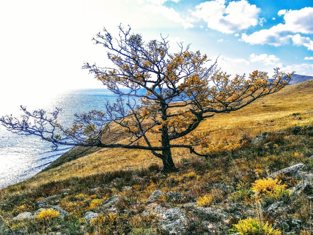 Photograph by Иван Фокин