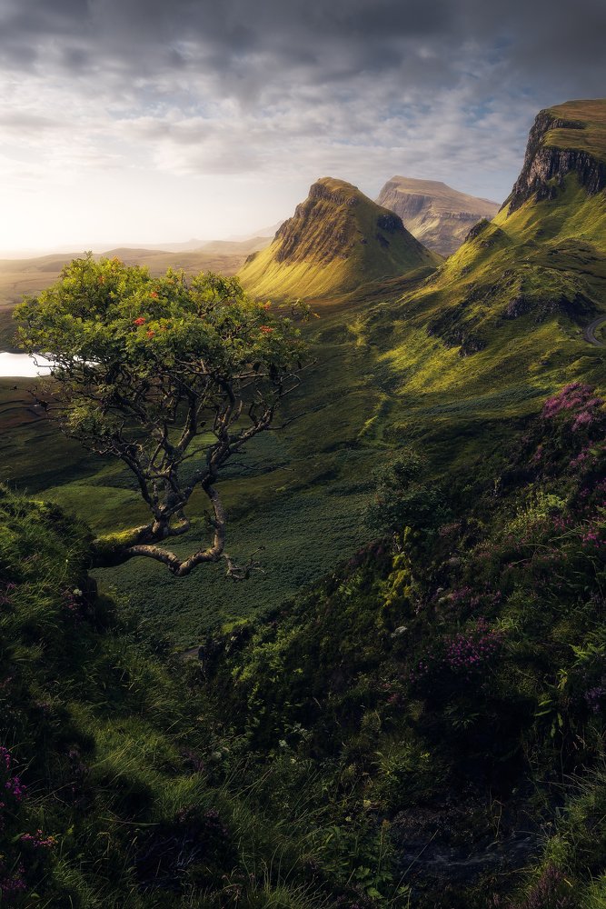 Photograph by Alessandro Cerro