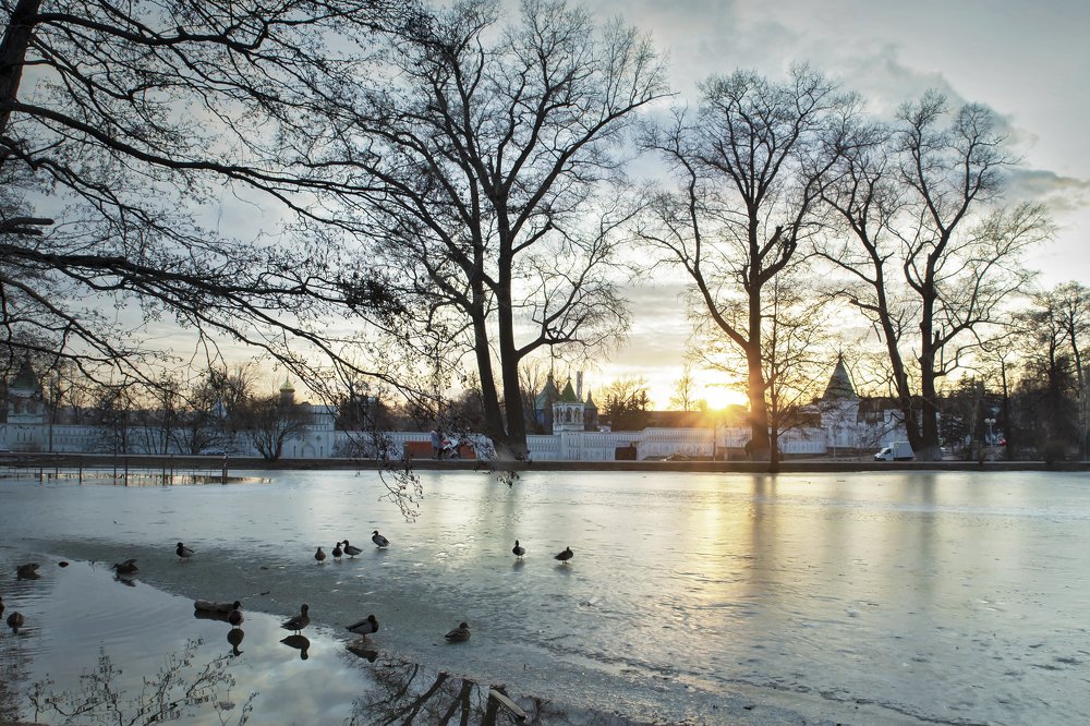 Photograph by Екатерина Рябинина