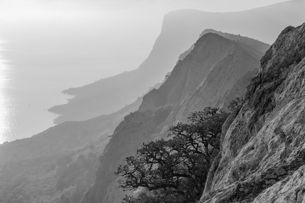 Крымские градиенты