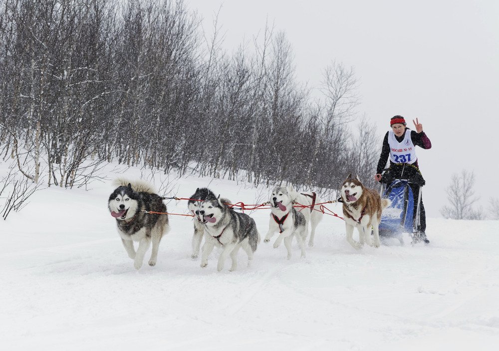 Счастье в движении
