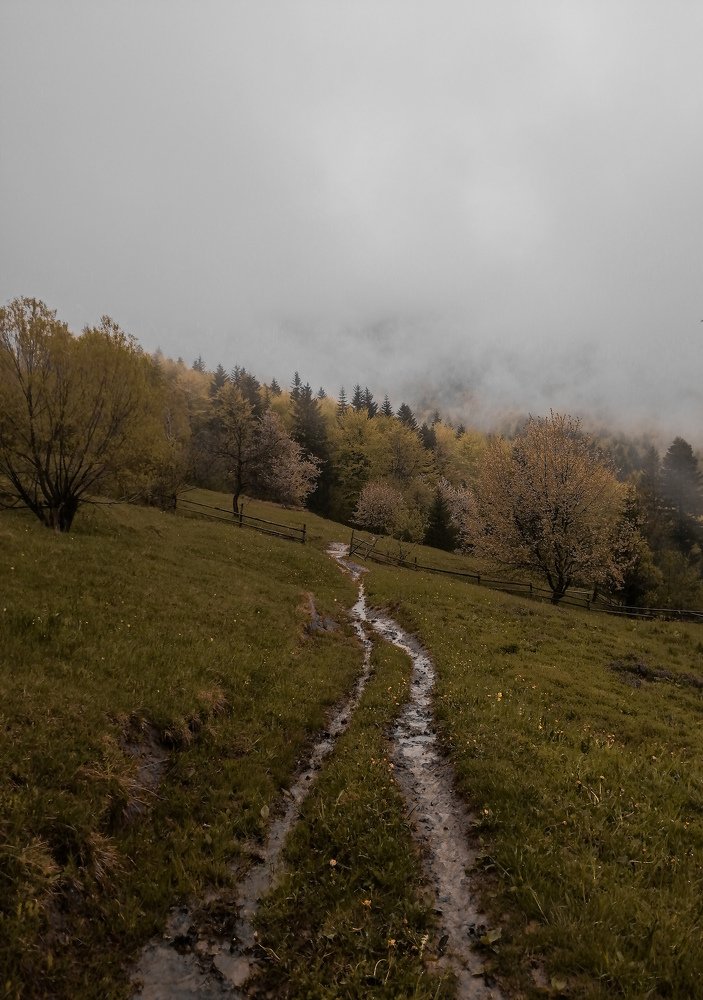 Photograph by Михайло Федишин