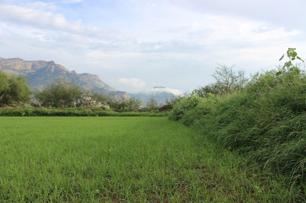 Photograph by shaker albarqi