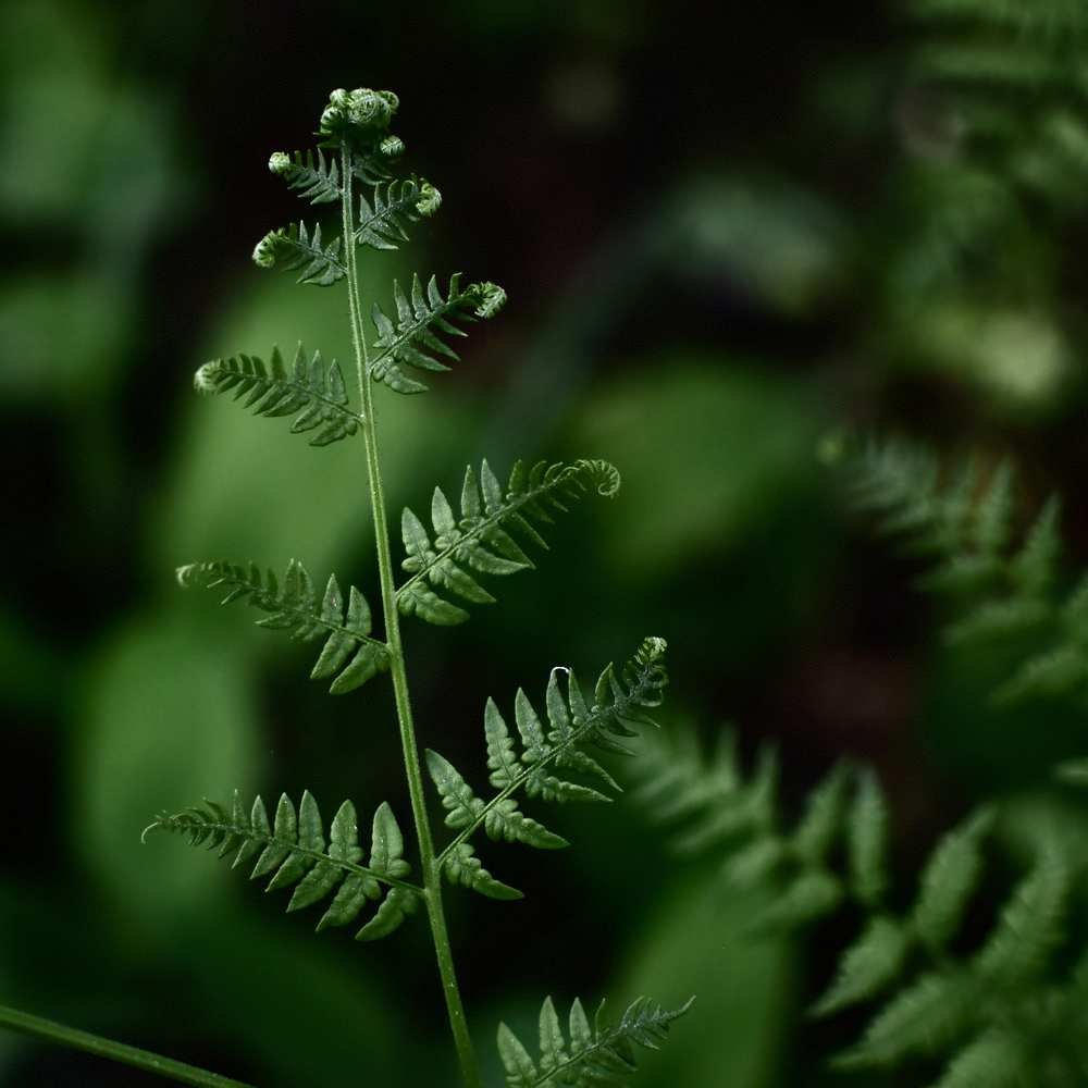 Фотография автора Альбина Хвастунова